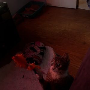 Meet your Posher, Denise